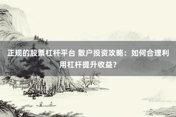 正规的股票杠杆平台 散户投资攻略：如何合理利用杠杆提升收益？